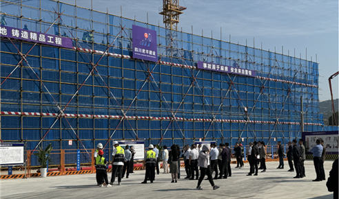 阆中市人大重要辅导调研阆中市医疗康复中心建设项目